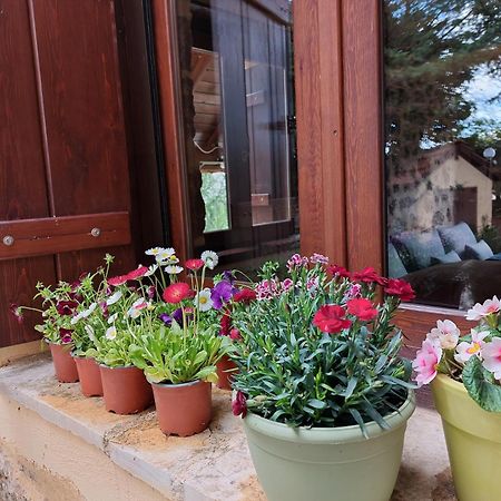 Εν Αρχή - En Arhi Villa Ano Trikala Eksteriør bilde