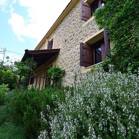 Εν Αρχή - En Arhi Villa Ano Trikala Eksteriør bilde