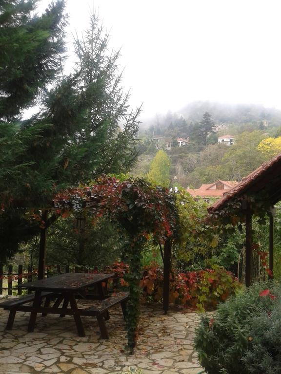 Εν Αρχή - En Arhi Villa Ano Trikala Eksteriør bilde