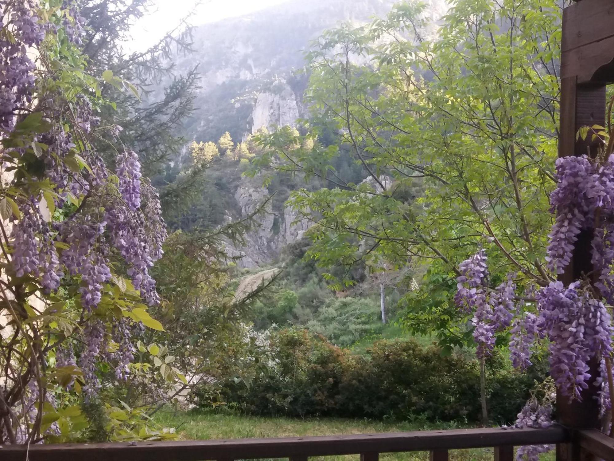 Εν Αρχή - En Arhi Villa Ano Trikala Eksteriør bilde