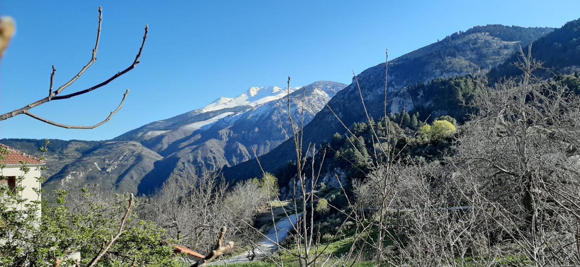 Εν Αρχή - En Arhi Villa Ano Trikala Eksteriør bilde