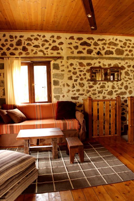 Εν Αρχή - En Arhi Villa Ano Trikala Rom bilde