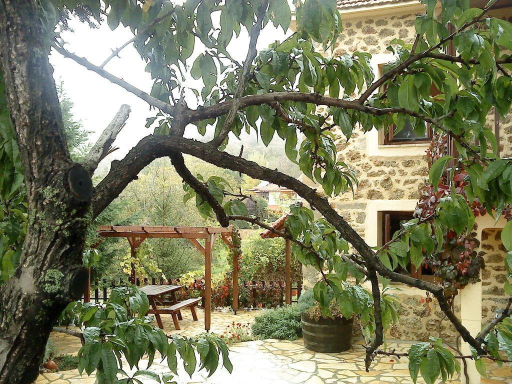 Εν Αρχή - En Arhi Villa Ano Trikala Rom bilde